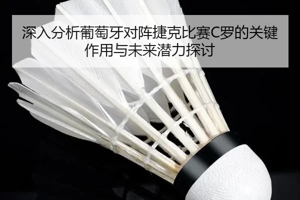 深入分析葡萄牙对阵捷克比赛C罗的关键作用与未来潜力探讨
