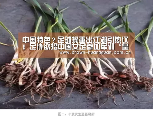 中国特色?足球操重出江湖引热议!足协欲招中国女足参加军训‘皇冠最新网站’(图2) 皇冠最新网站